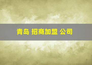 青岛 招商加盟 公司